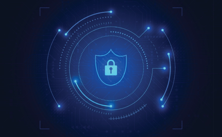 data privacy day