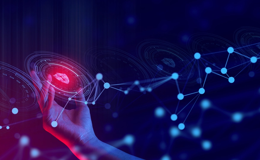 data-discovery-tools-2025