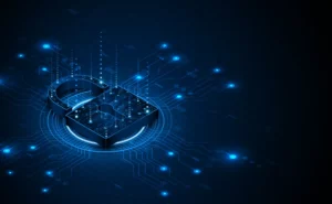 Personally Identifiable Information (PII)