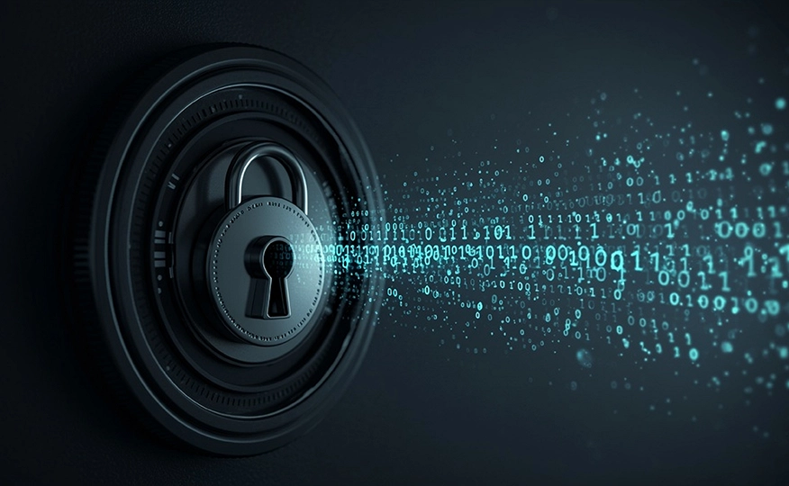 data provacy consulting services